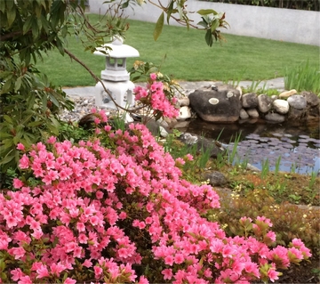 Yukimi mit Teich und Blumen